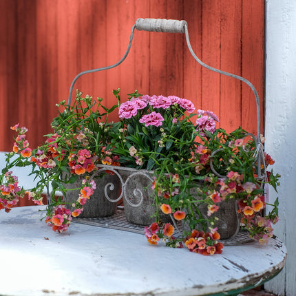 Hållare med tre krukor