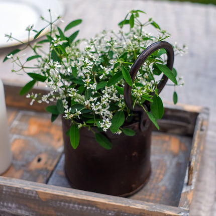 Rustik multiförvaring