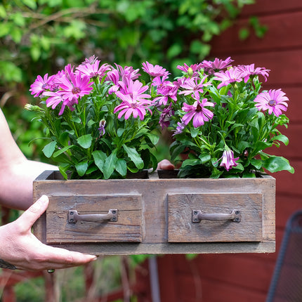 Kruka trälåda dubbel