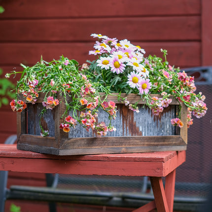 Rustika lådor i trä och zink