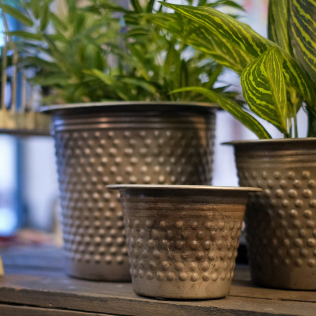 Metallkruka dot cloudy