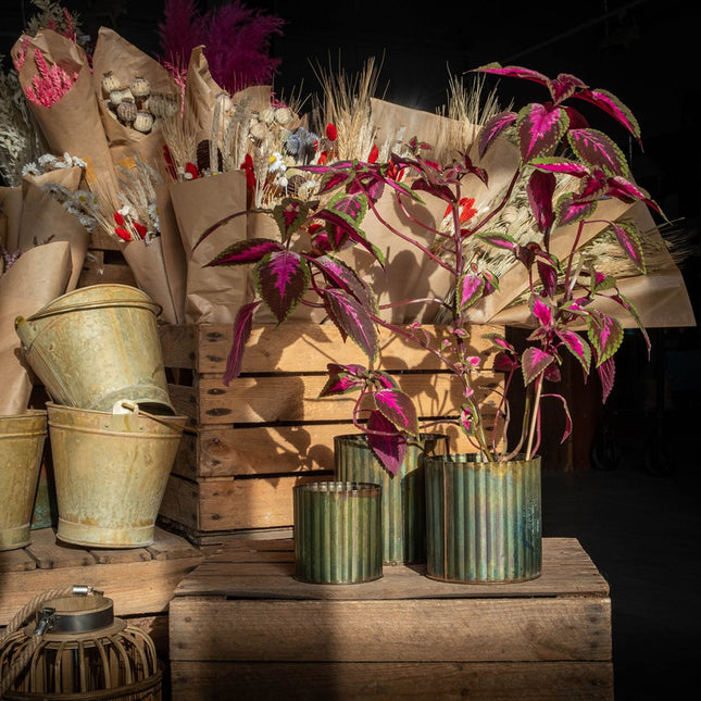 Gröna räfflade metallkrukor