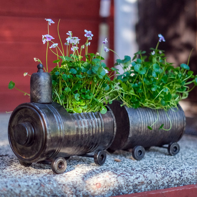 Lok & vagn - set med zink-krukor