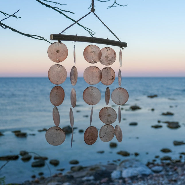 Snäckskalsdekoration natur