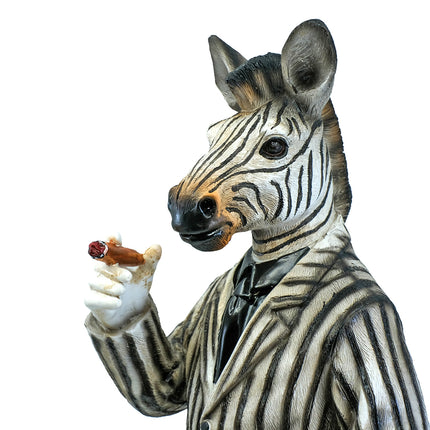 Mr Zebra