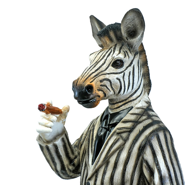 Mr Zebra