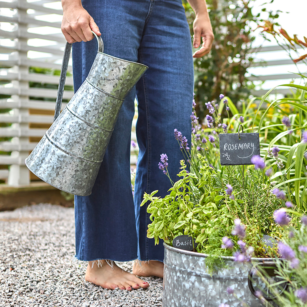 Stor vattenkanna i galvaniserad metall